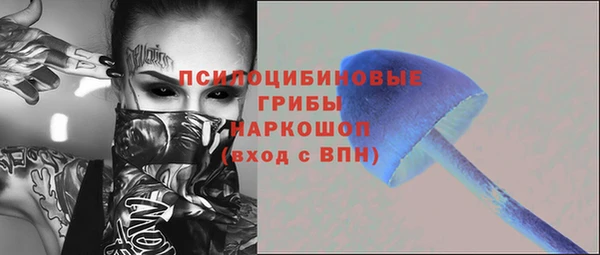 экстази Богданович