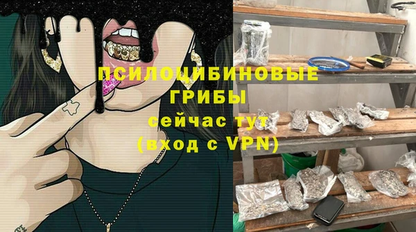 твердый Богородск