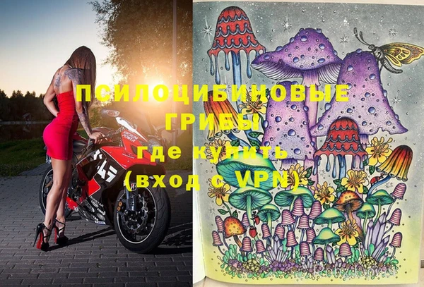 экстази Богданович